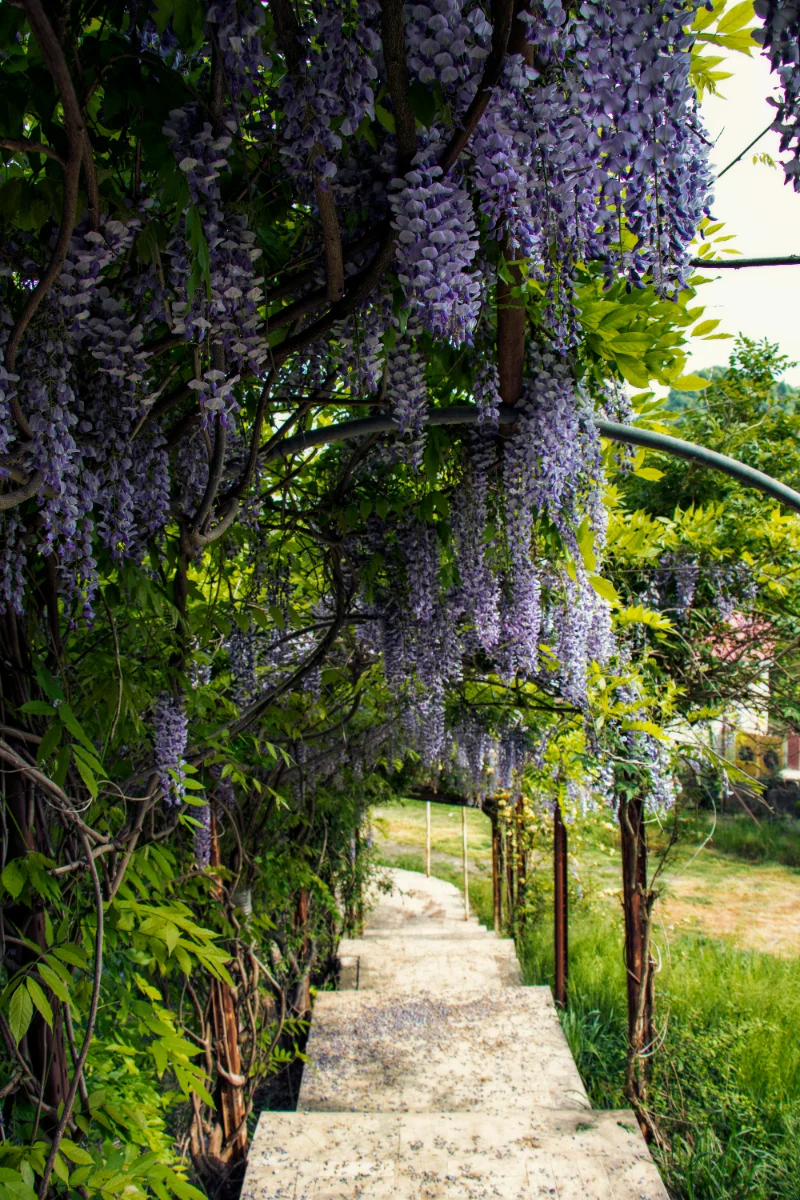 Aménagement jardinier — plantations et massifs